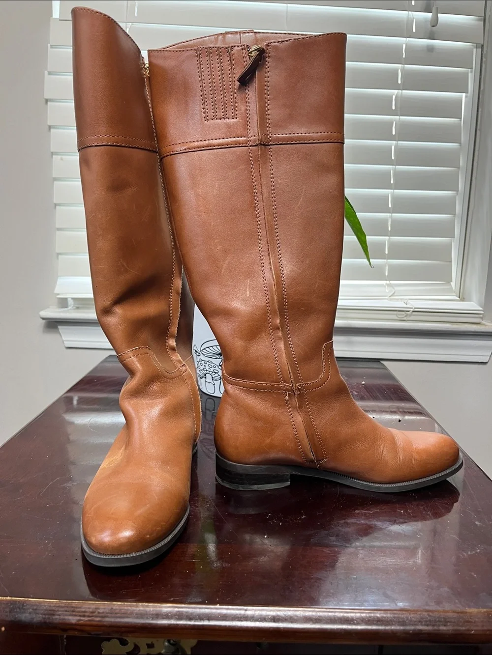 N/A classic brown